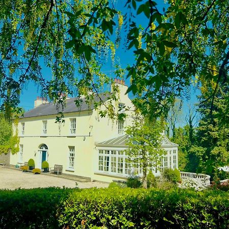Larchmount House B&B Londonderry Bagian luar foto