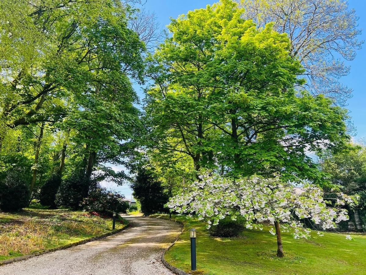 Larchmount House B&B Londonderry Bagian luar foto