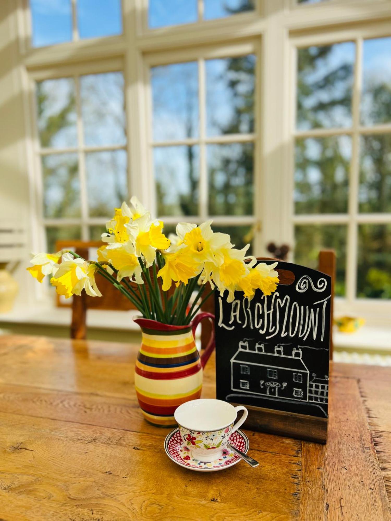 Larchmount House B&B Londonderry Bagian luar foto
